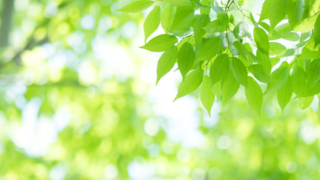 未来へつなぐために